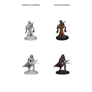 Pathfinder Deep Cuts Unpainted Miniatures: W4 Human Female Bard