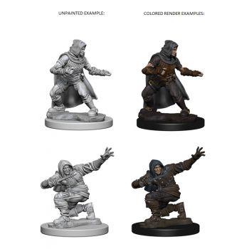 Pathfinder Deep Cuts Unpainted Miniatures: W1 Human Male Rogue