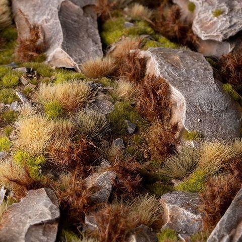 Spikey Brown Wild