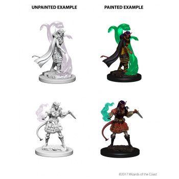 Dungeons & Dragons Nolzur's Marvelous Unpainted Miniatures: W4 Tiefling Female Sorcerer