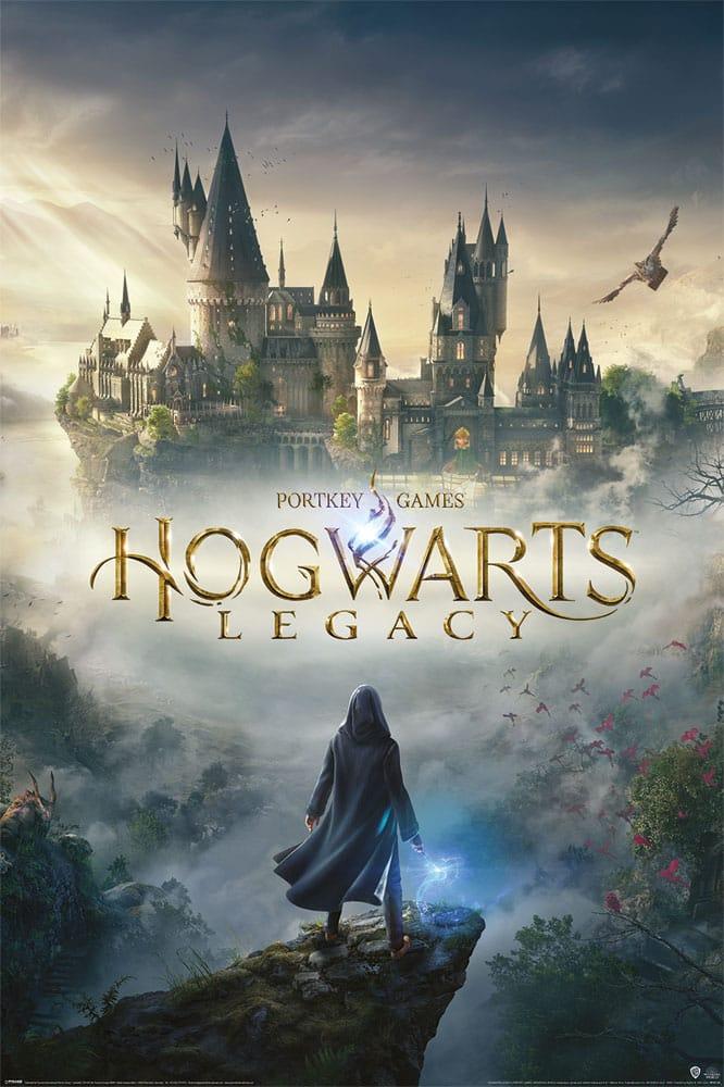 Hogwarts Legacy: Wizarding World Universe Poster (61 x 91 cm)