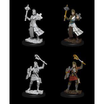 Dungeons & Dragons Nolzur's Marvelous Unpainted Miniatures: W8  Female Human Cleric