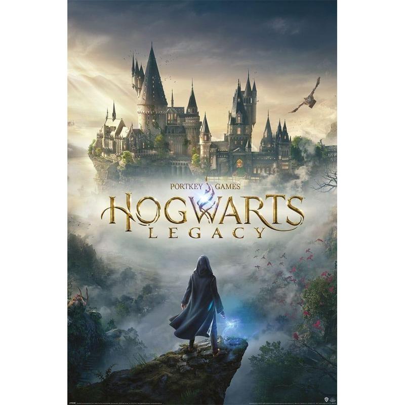 Hogwarts Legacy: Wizarding World Universe Poster (61 x 91 cm)