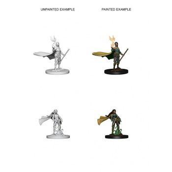 Dungeons & Dragons Nolzur's Marvelous Unpainted Miniatures: W4 Elf Female Druid