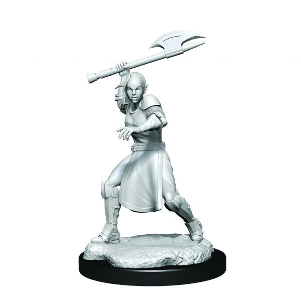 Critical Role Miniatures: W1 Half-Elf Echo Knight and Echo Female (MOQ2)