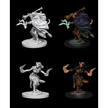 Dungeons & Dragons Nolzur's Marvelous Unpainted Miniatures: W6 Female Tiefling Warlock